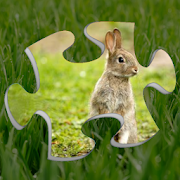 Top 49 Puzzle Apps Like Rabbit Jigsaw Puzzles - Animal Jigsaws - Best Alternatives