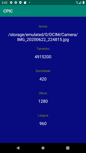 CPIC Screen 2