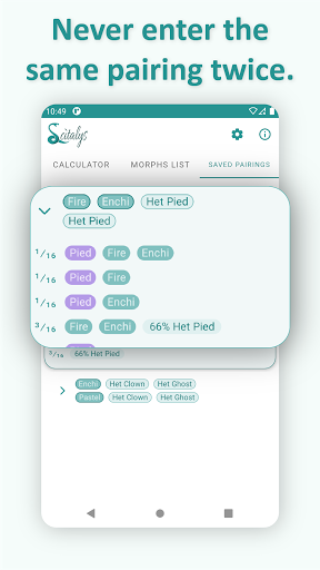 Balls Calculator Screen 3