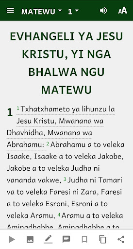 Txitxopi Bible Screen 2