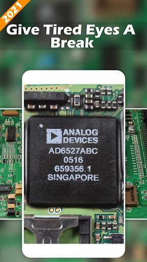 Microscope  Magnifying Camera 2021