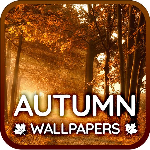 Herbst-Hintergrundbilder 4K Auf Windows herunterladen