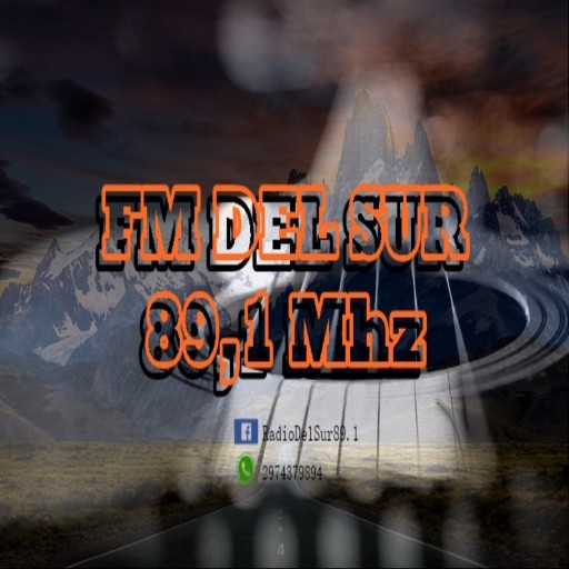 Radio FM Del Sur 89.1 Logo