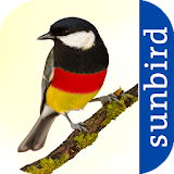 All Birds Germany  - A Sunbird Field Guide icon