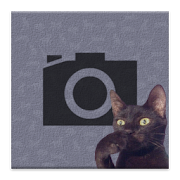 Cat Bomb Camera 1.5 Icon
