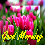 Cover Image of Download Beautiful Good Morning Cards  APK