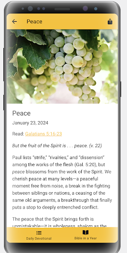 Words of Hope Screen 3