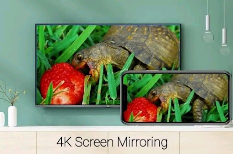 All TV Screen Mirroring Pro Screenshot