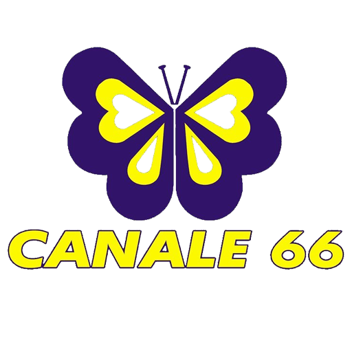 Android application CANALE 66 screenshort