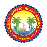 NSVV Matric School icon