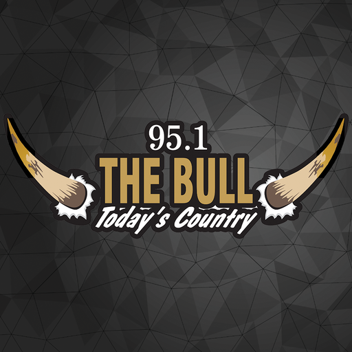 95.1 The Bull  Icon