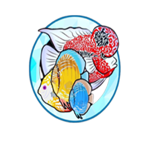 Qimtat Shamrakh logo