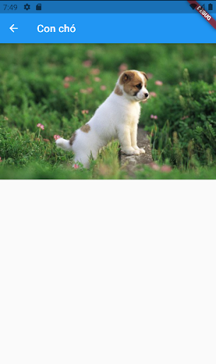 Simple Animals Screen 3