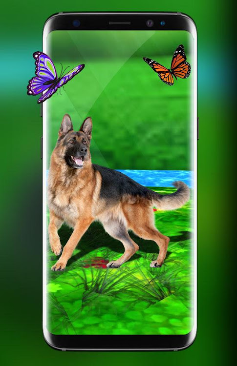 Cute Pet Dog Live Wallpaper HD by Deeko Games - (Android Apps) — AppAgg