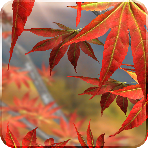 Autumn Tree Live Wallpaper 1.4 Icon