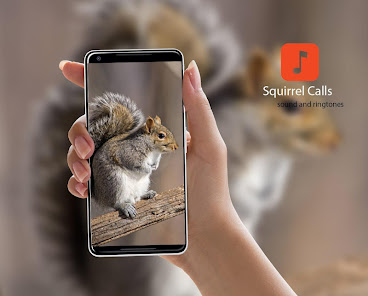 Squirrel Calls & Ringtones 1.0.4 APK + Mod (Unlimited money) untuk android