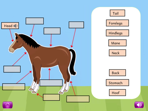 Naming Parts of Plants and Ani
