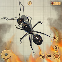 Kill With Fire Ant Simulator