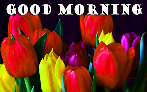 Good Morning Flowers Gif
