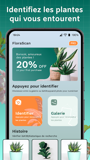 Aperçu de l'application