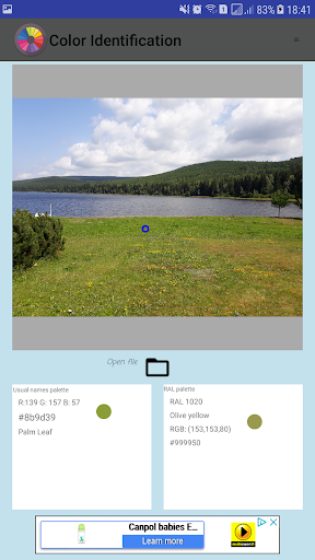 Color Identification Screen 2