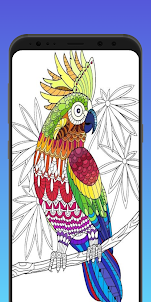 Coloring Book Paint by Number