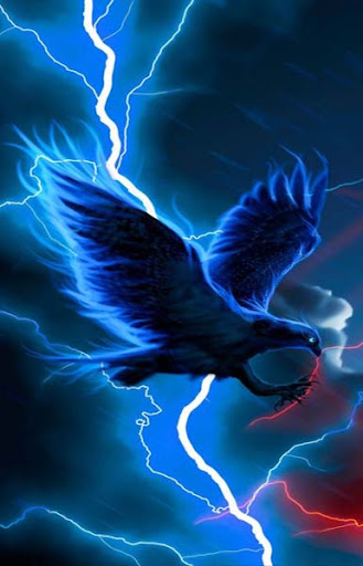 Eagle Wallpaper Screen 3