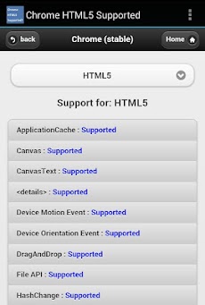 HTML5 Supported for Chrome?のおすすめ画像3