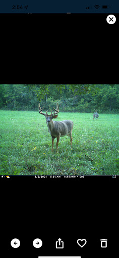 Cuddeback Screen 3