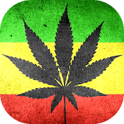 Top 14 Lifestyle Apps Like Strains of Weed - Best Alternatives