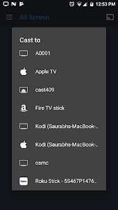 All Screen Cast to TV Roku