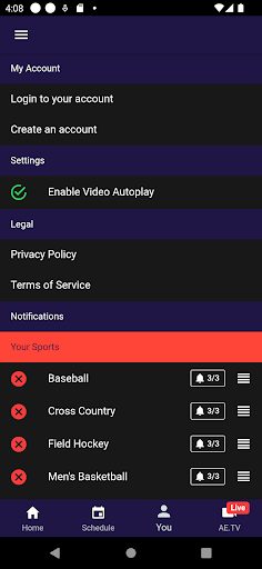 America East Screen 3