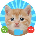 Cover Image of डाउनलोड Fake Call from Cat - Prank Cal  APK