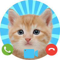 Fake Call from Cat - Prank Caller
