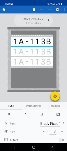 Brady Express Labels Screen 2