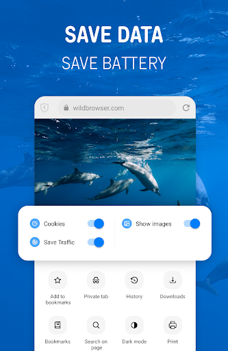 Wild Browser: safe web search