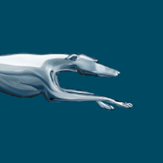 Greyhound apk