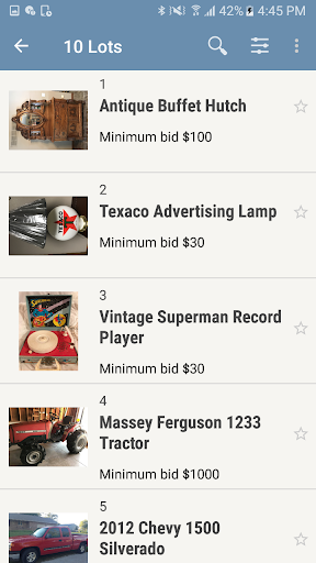 Bergman Auction Service