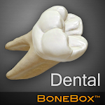 Cover Image of Tải xuống BoneBox \ u2122 - Dental Lite  APK