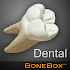 BoneBox™ - Dental Lite1.1