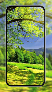 Nature Wallpapers
