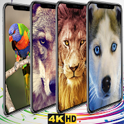 Top 50 Personalization Apps Like Cute animal Wallpapers Husky Wolf Lion Puppy Bird - Best Alternatives