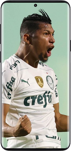 Palmeiras Wallpaper 4k 2023 Screen 3