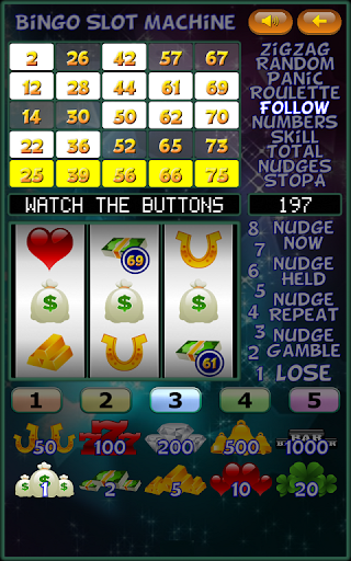 Bingo Slot Machine. Screen 3