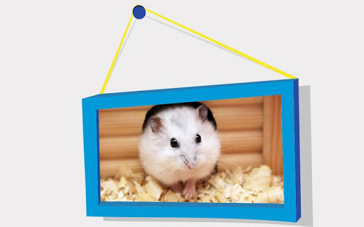Picture Puzzle: Hamsters Screen 2
