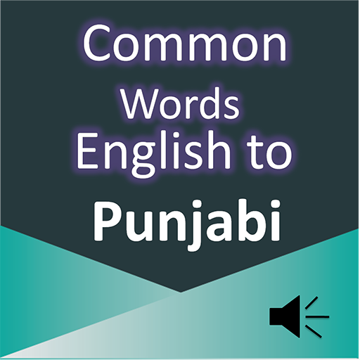 Common Word English to Punjabi  Icon