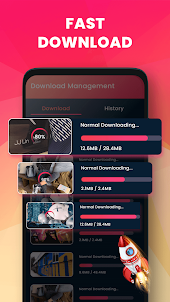 Video Downloader & Story Saver