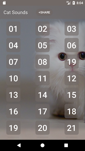 Android application Cat Soundboard screenshort