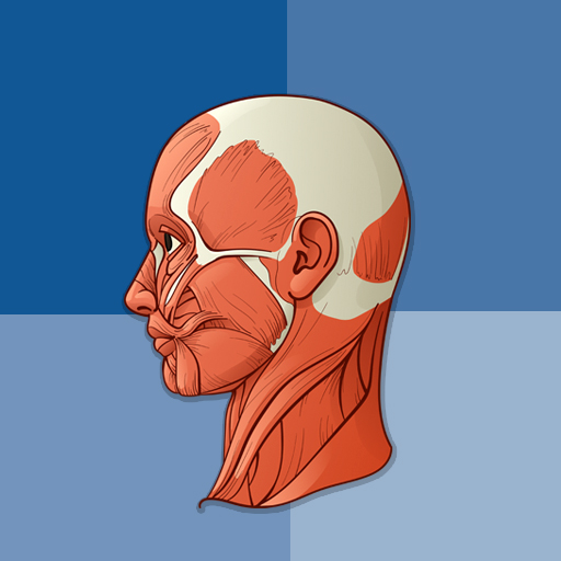 Human anatomy logo