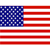 2019 US Constitution USA icon